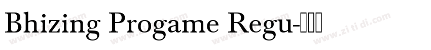 Bhizing Progame Regu字体转换